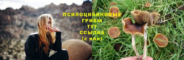 герыч Белокуриха